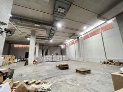 Pandan Light Industries Park (D5), Warehouse #576568911